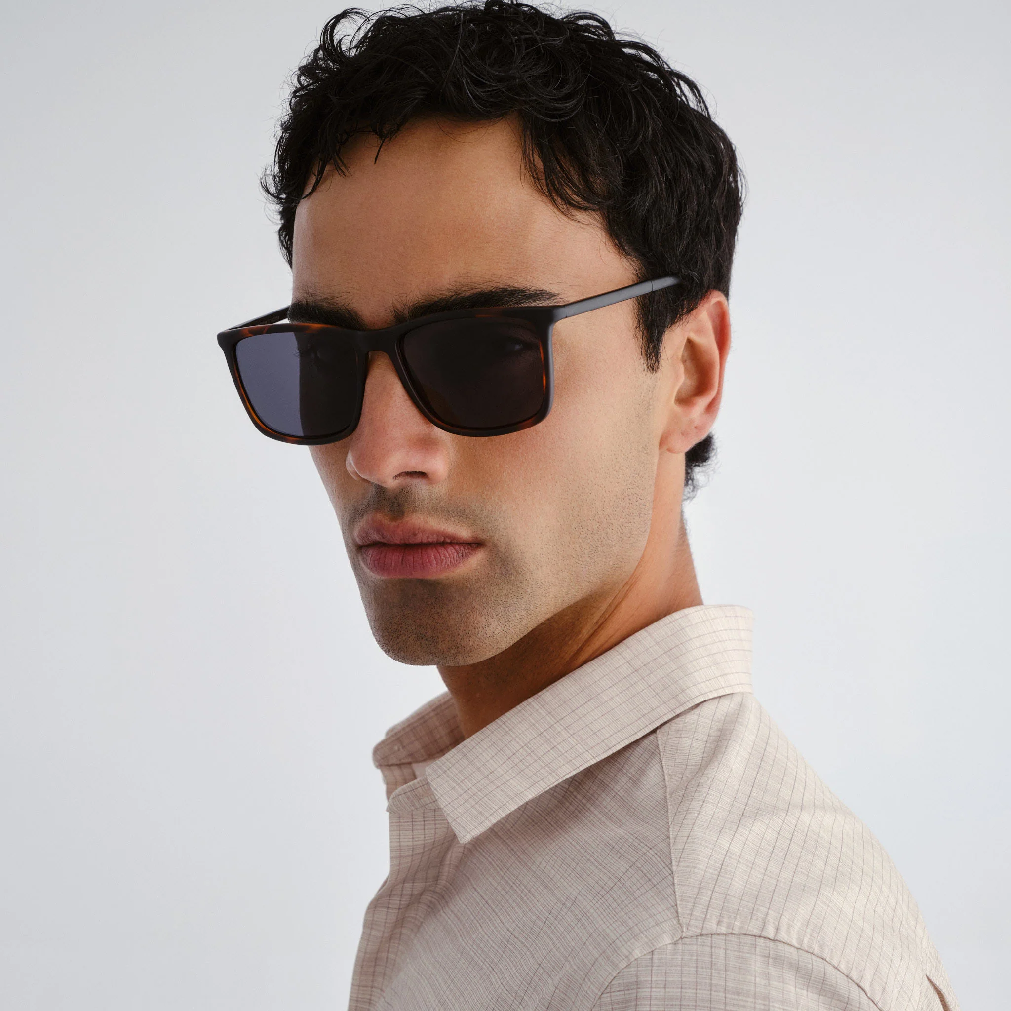 TWEEDLEDUM | MATTE TORT MATTE BLACK - Image 2